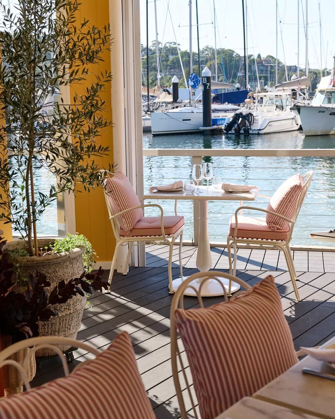 waterfront restaurants sydney st siandra the spit