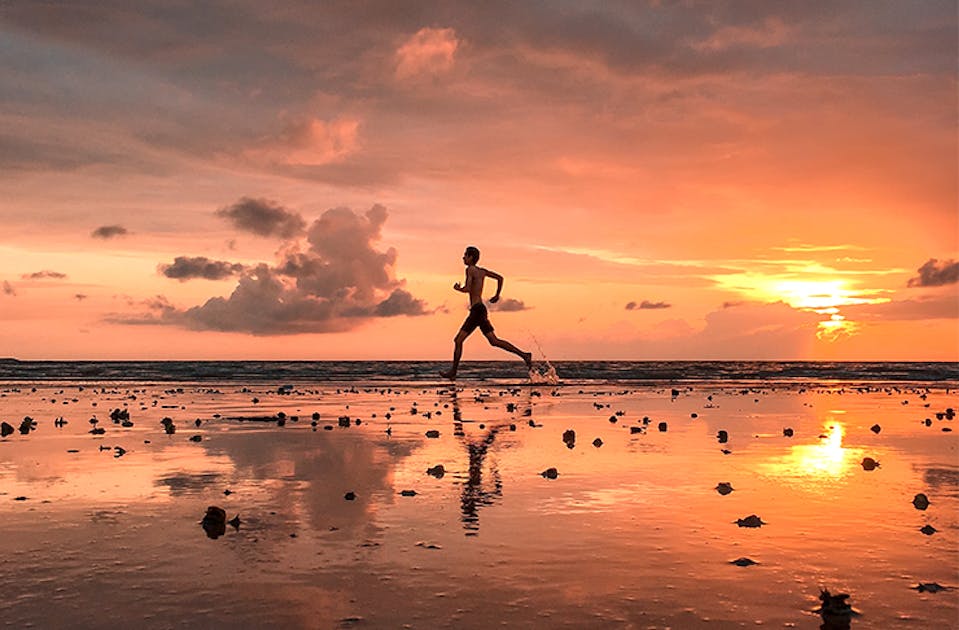 Sydney’s Best Waterside Running Spots URBAN LIST SYDNEY