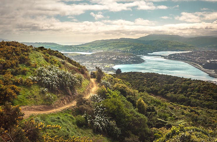 A stunning vista over Wellington
