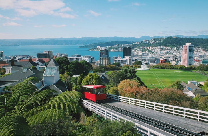 The red Wellington cable car climbs, with a beautiful vista of Wellington as a backdrop.