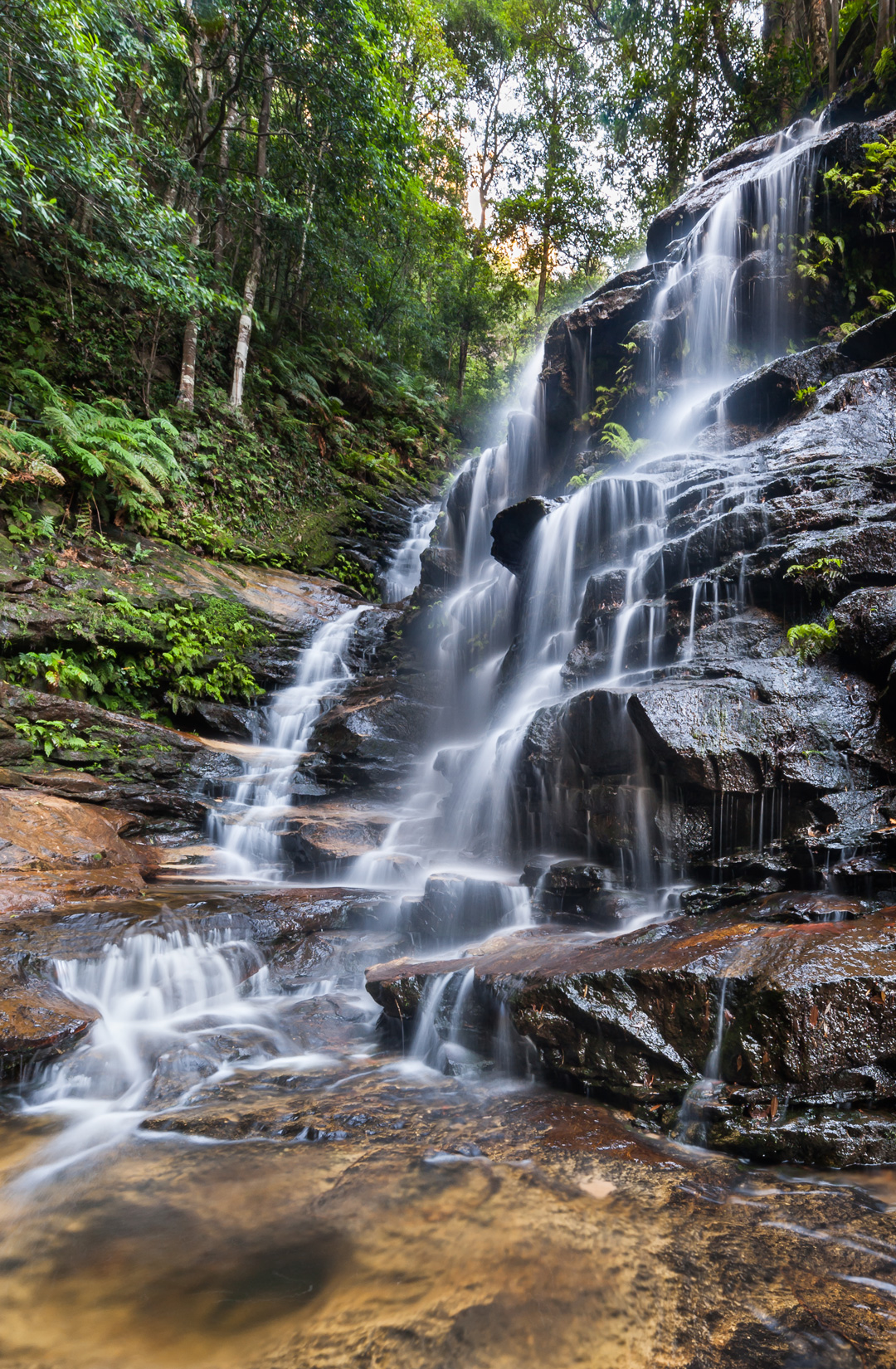 Plan Your Weekend Bushwalk Around The Most Jaw-Dropping ...
