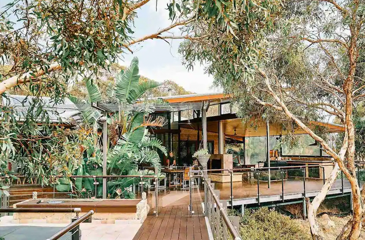 A treehouse with a large entertaining deck set amongst several gumtrees.