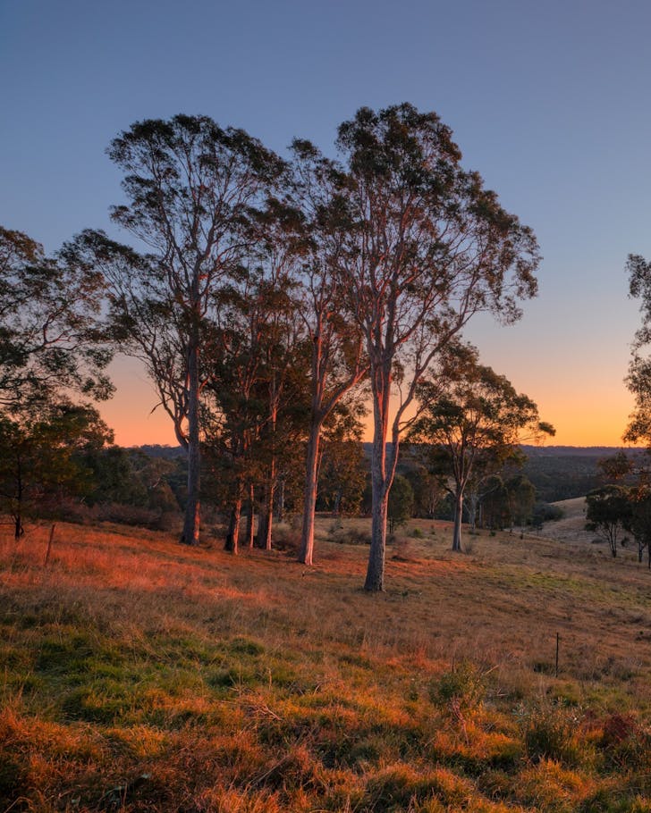 Western Sydney parklands