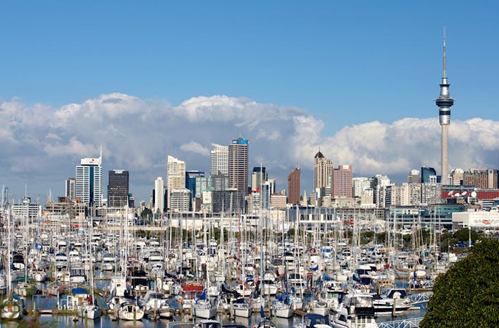 12 Stunning Auckland Walks To Take At Least Once
