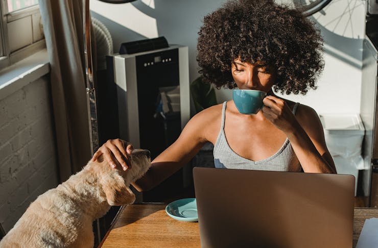 A women sitting in front of a laptop and sipping coffee whilst patting her dog.