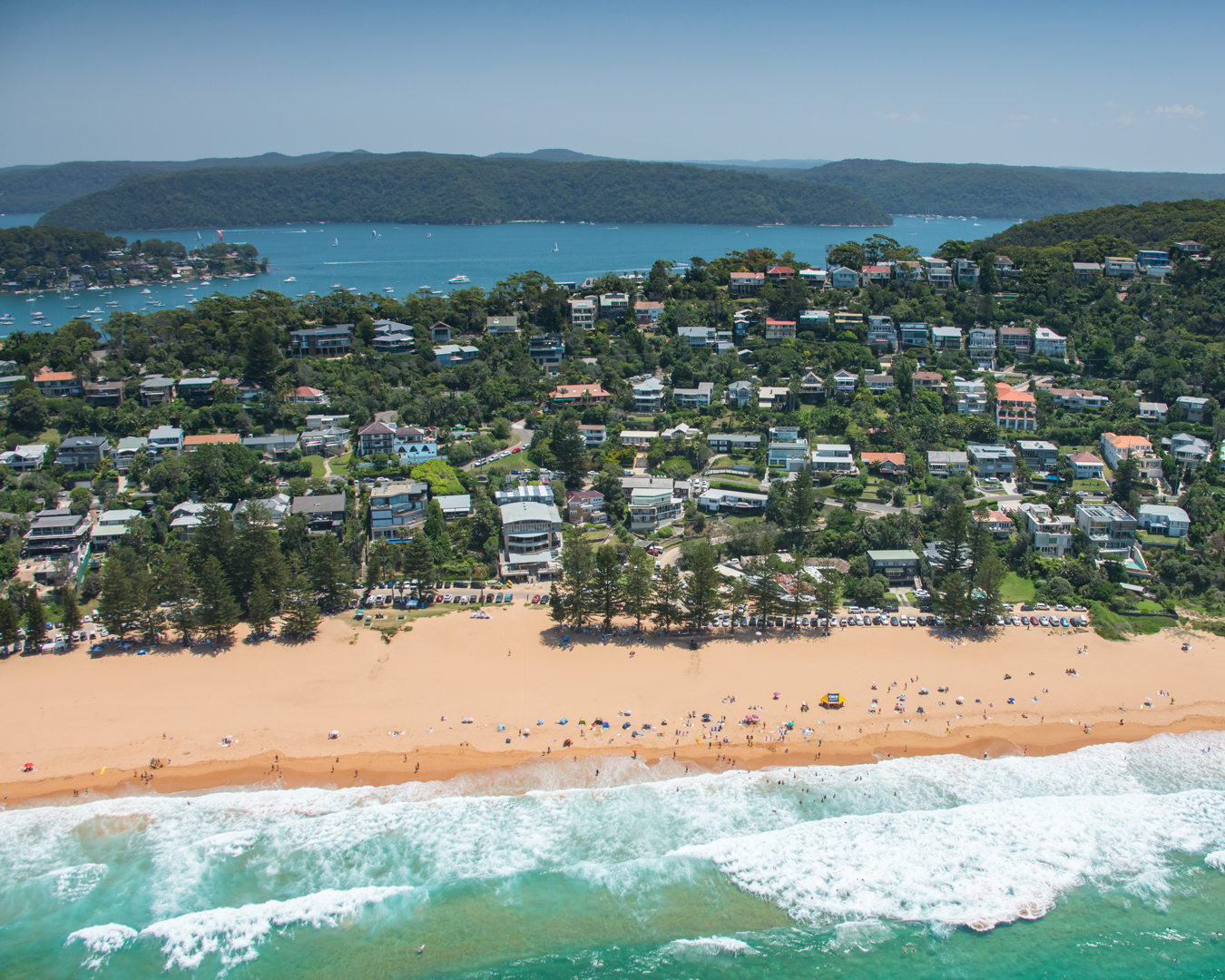 best sydney beaches whale beach