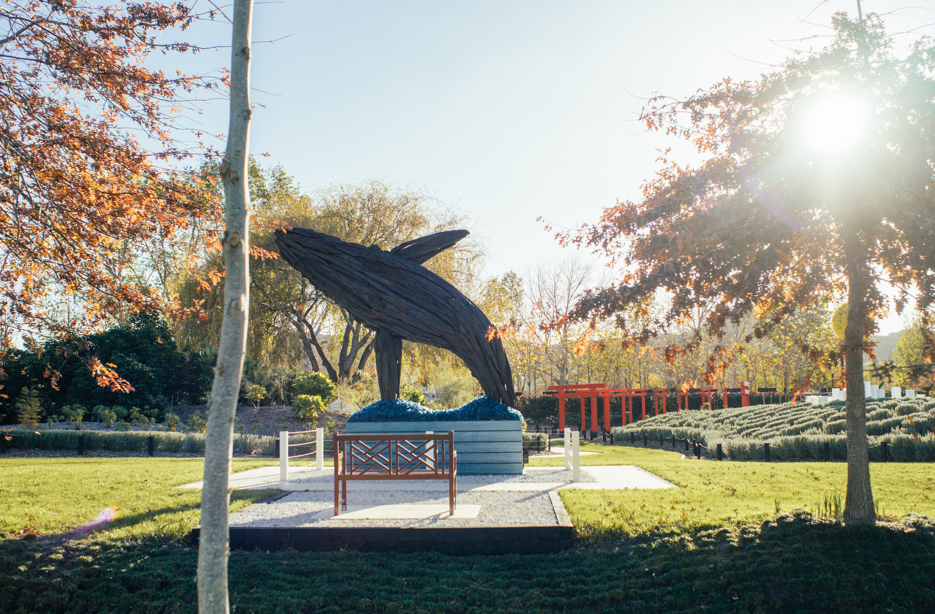 A dynamic sculpture of a whale in the outdoors