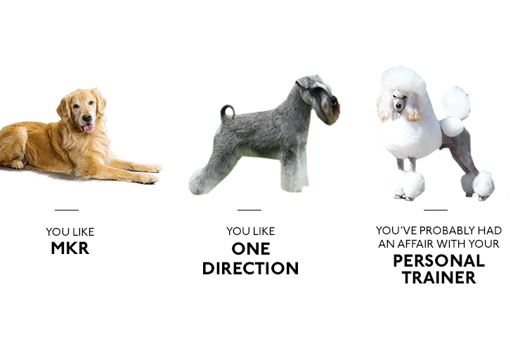 what your favorite breed of dog says about you