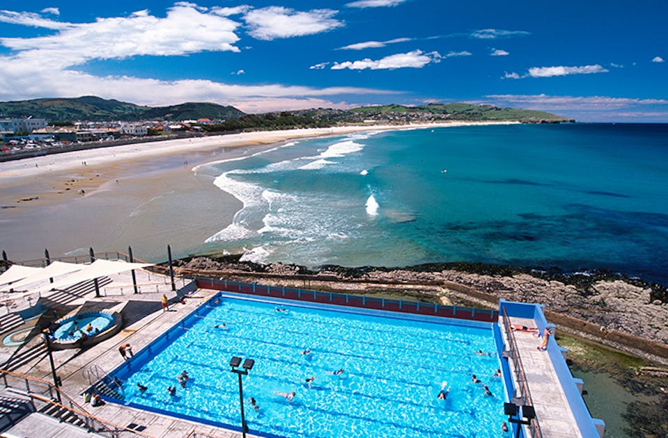 12 Of The Best Things To Do In Dunedin URBAN LIST GLOBAL