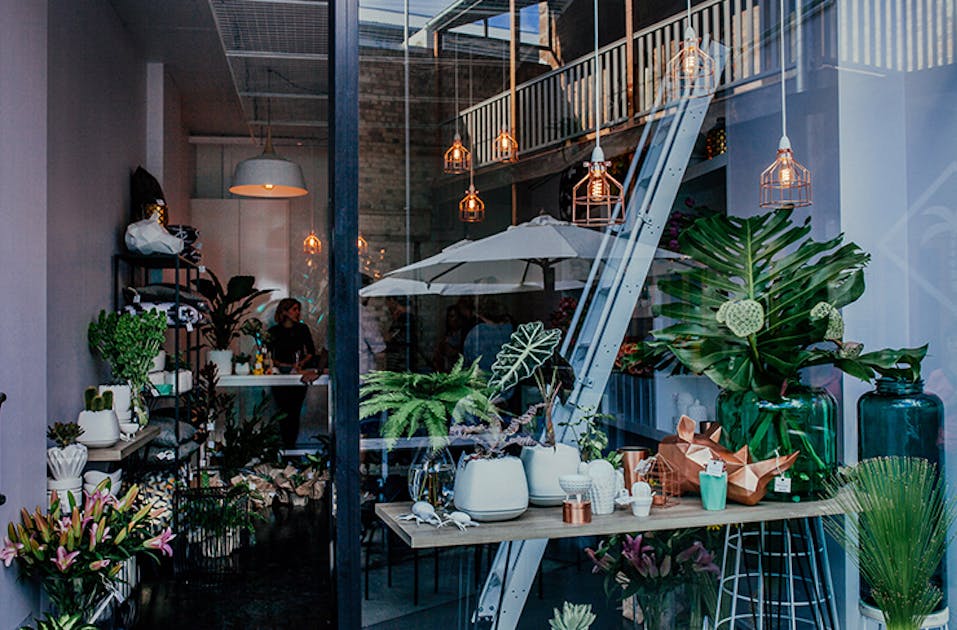 Where To Buy Succulents In Brisbane URBAN LIST BRISBANE