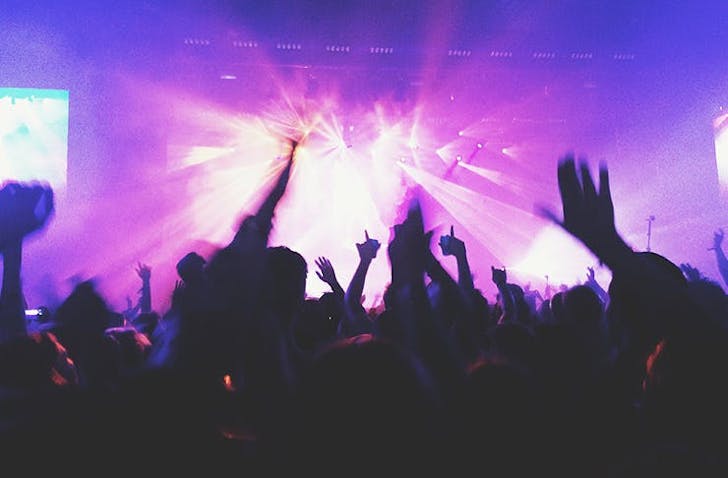 Here Are The Best Things To Do In Auckland At Night