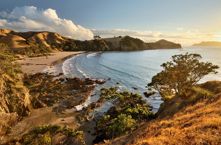 where to snorkel in Auckland, where to dive in Auckland, best snorkelling spots in Auckland