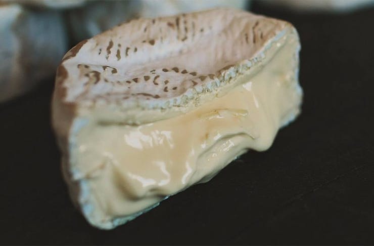 An oozing slice of scrumptious looking cheese from Whitestone Cheese, Over The Moon Dairy, Dutch Shop, Cranky Goat, Eversdale,