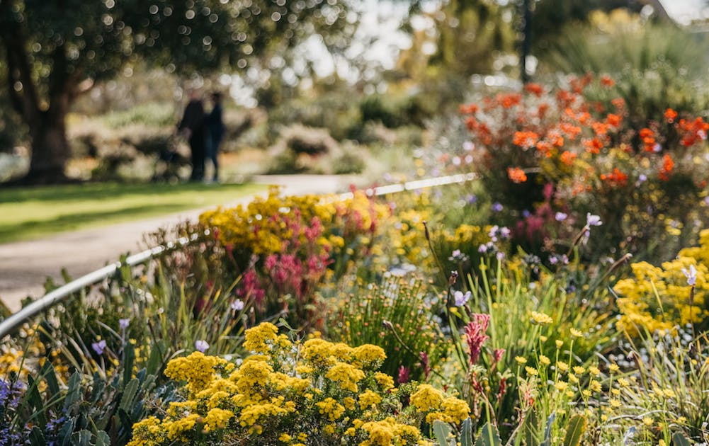 The Best Wildflower Walks In Perth URBAN LIST PERTH