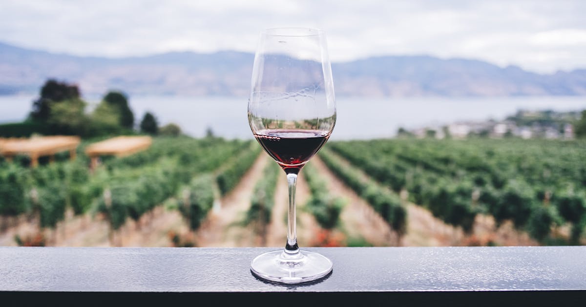 20 Best Vineyards In Georgia Europe Inc Georgia Wineries Map