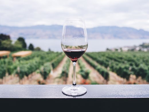 15 Stunning Wineries Within Driving Distance Of Brisbane Urban List Brisbane