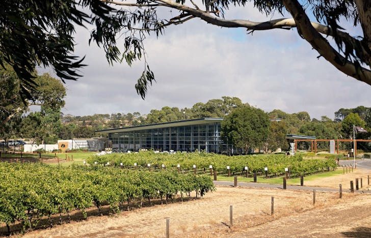 Jacobâs Creek: One of the Best wineries in South Australia