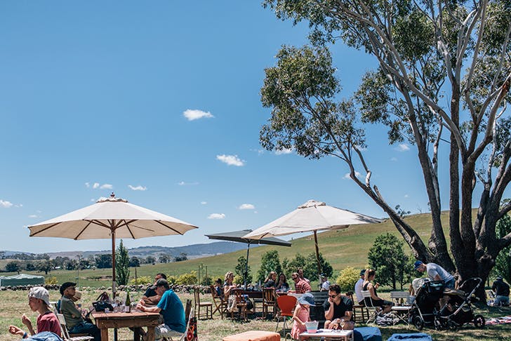 A charming country winery set on a sprawling paddock.