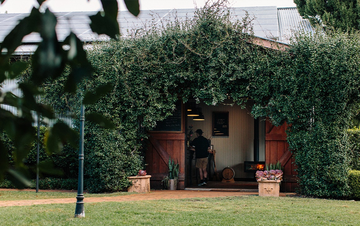 looking into the winery bar, with vines growing over the doorway
