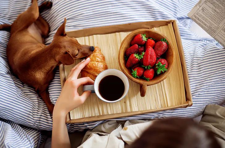 world-dog-friendly-hotels