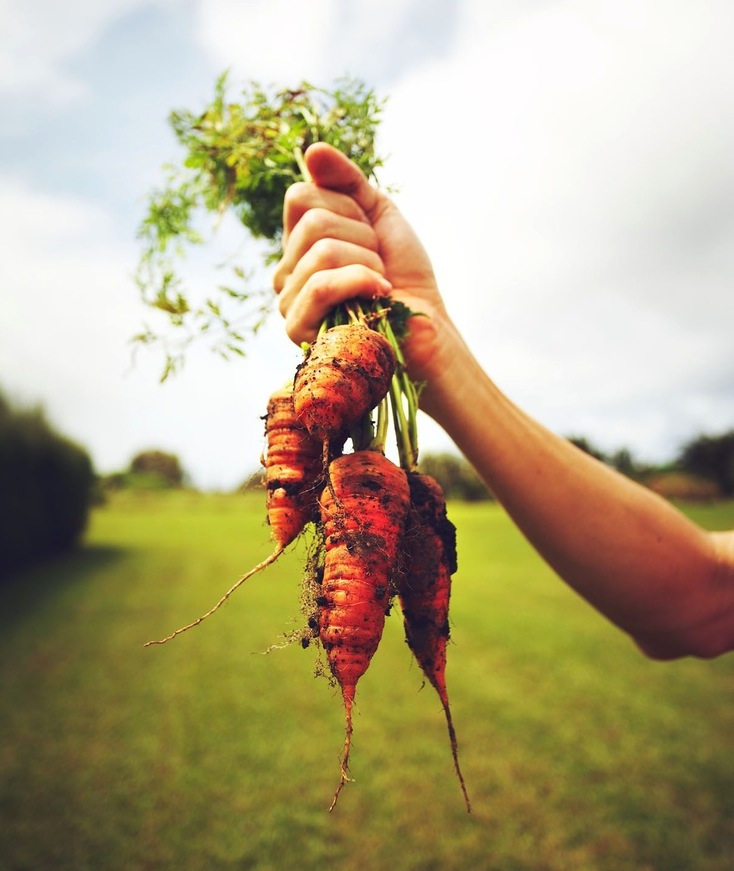 Melbourne's Best Health Food Stores URBAN LIST MELBOURNE