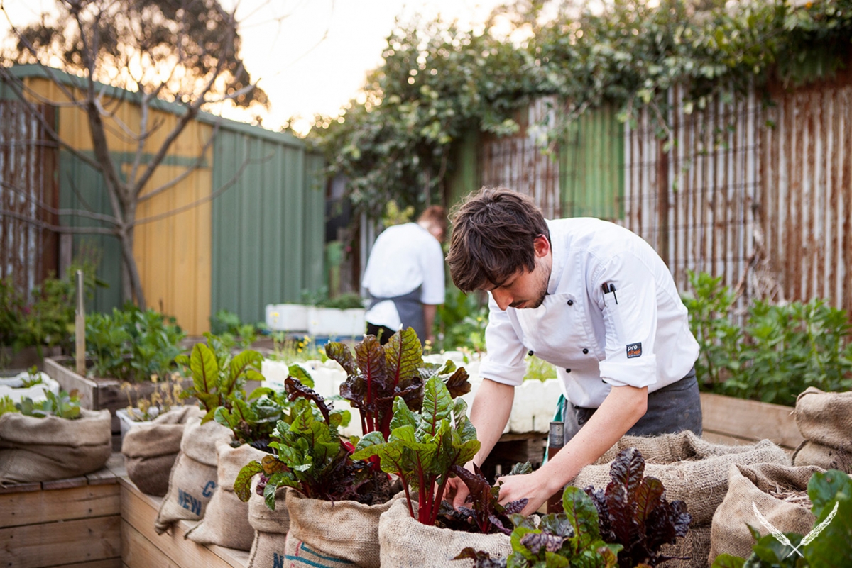 From SeedtoPlate The Melbourne Fine Dining Restaurant You Need To