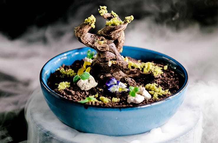 an intricate chocolate bonsai dessert