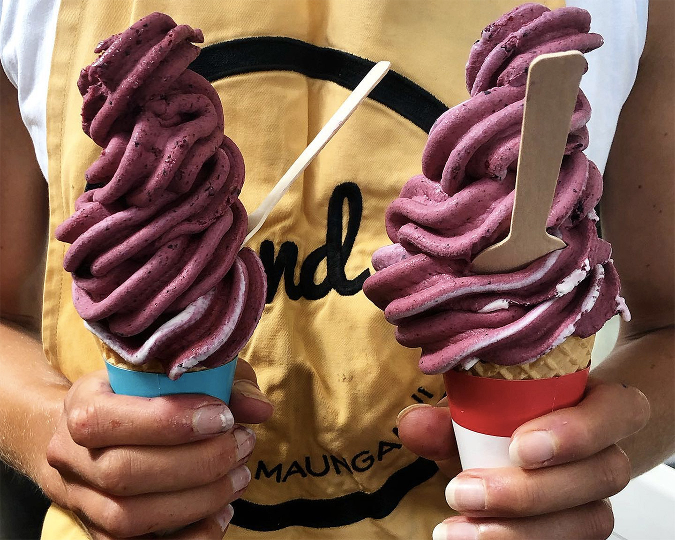 Someone holds up two massive ice creams from yo and co.