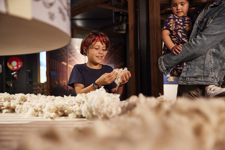 National Wool Museum in Geelong is a great thing to do with kids.