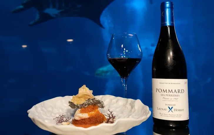 An intricate dish sits in a while bowl with a bottle and glass of wine next to it and a large aquarium with a manta ray in the background. 