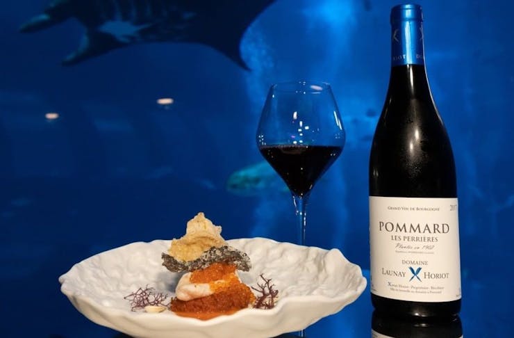 An intricate dish sits in a while bowl with a bottle and glass of wine next to it and a large aquarium with a manta ray in the background. 