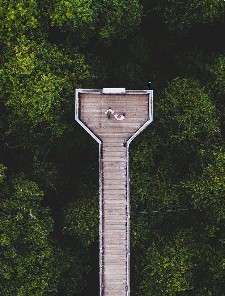 aerial view of skywalk ove forest