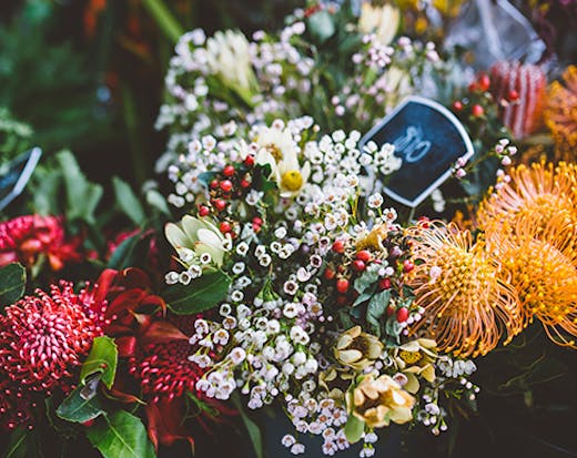 Tugun fruit and flowers