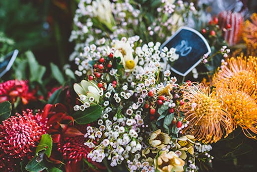Tugun fruit and flowers