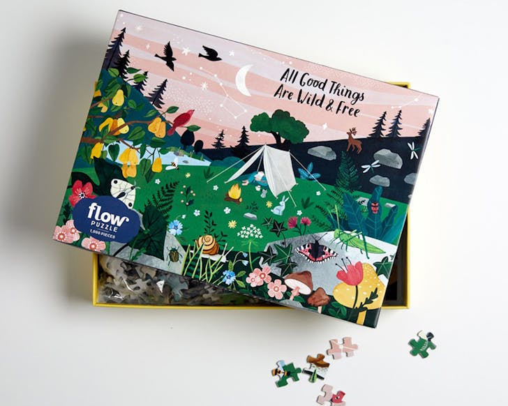Puzzle depicting a campsite under a starry night sky on a box. 