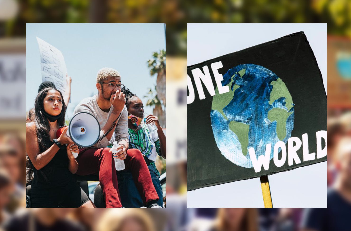 collage of climate strikes