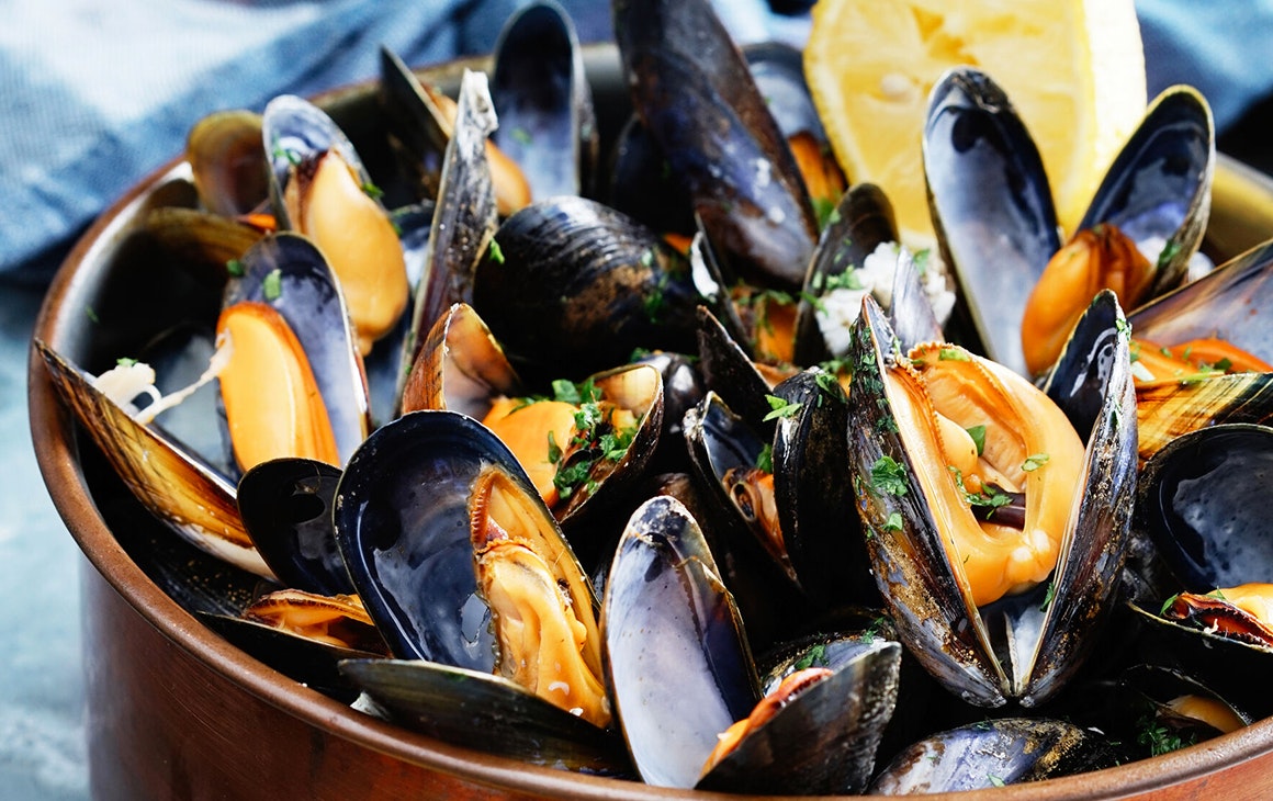 bay of islands best restaurants 