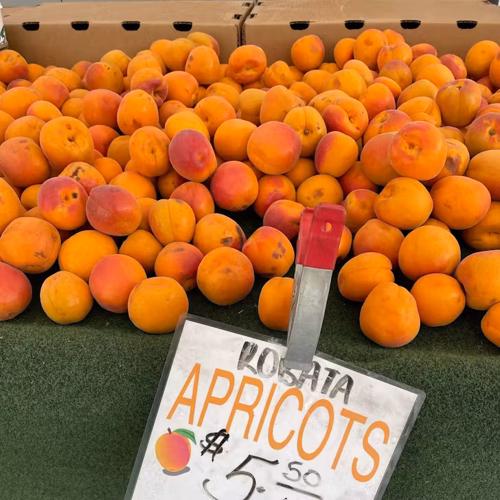 Beverly Hills Farmers Markets Los Angeles 2024