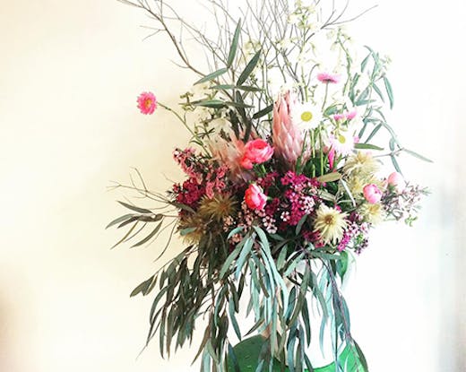 Bloom Tribe