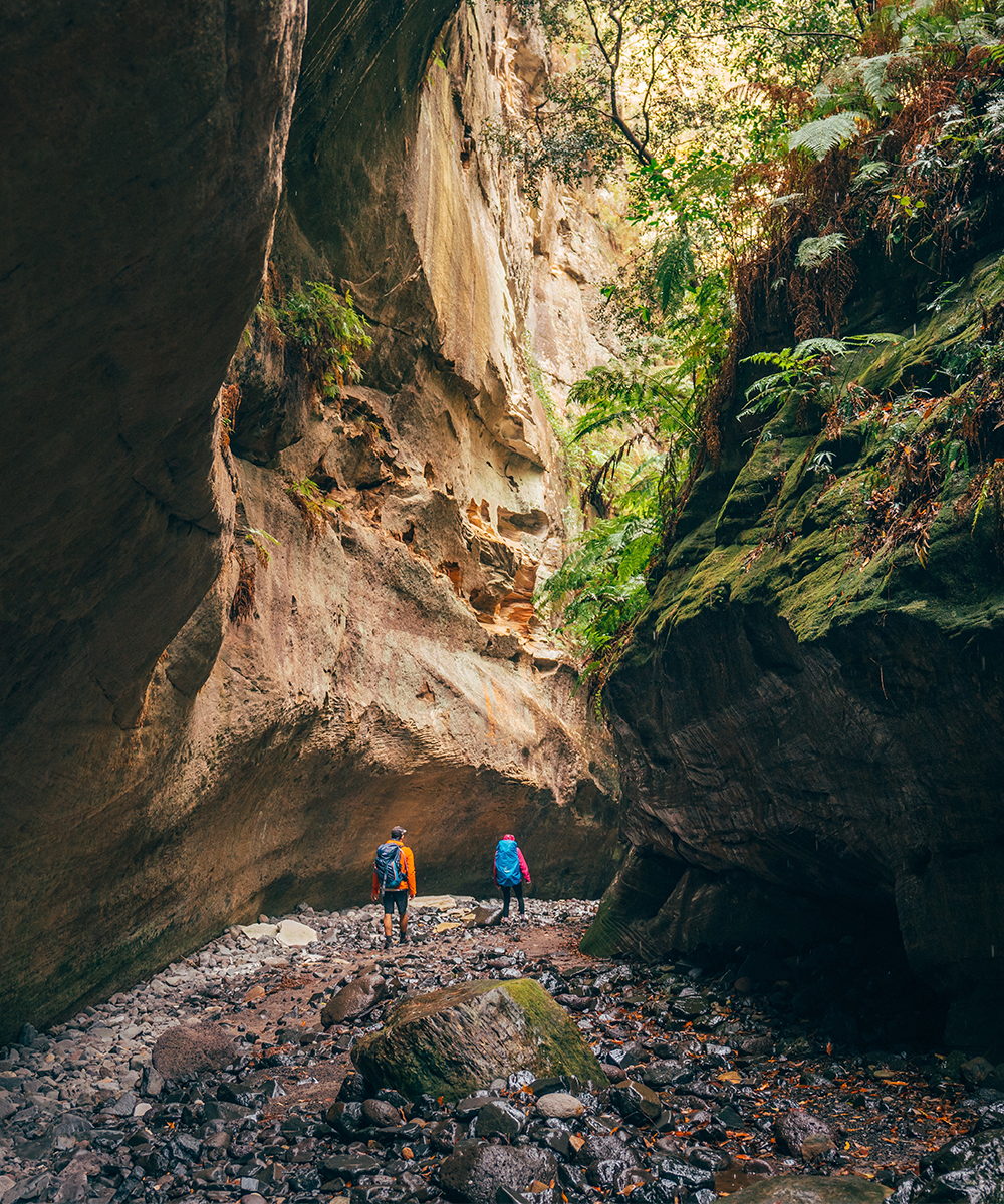 Two people walking through a Carnarvon Gorge 