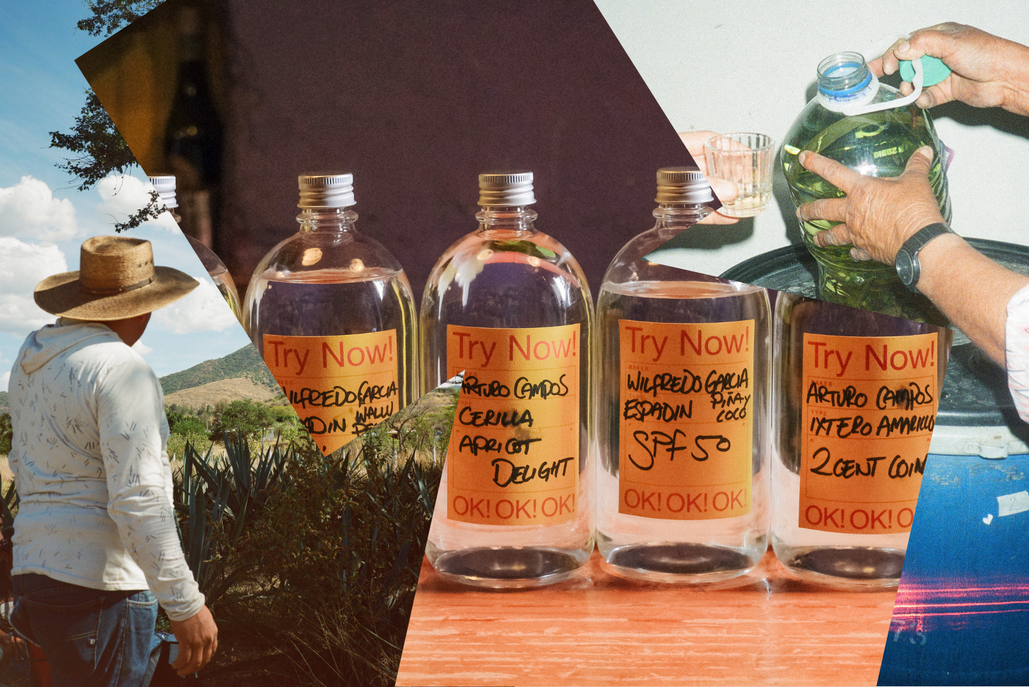 collage of mezcal in clear bottles and a man wearing a hat in a valley