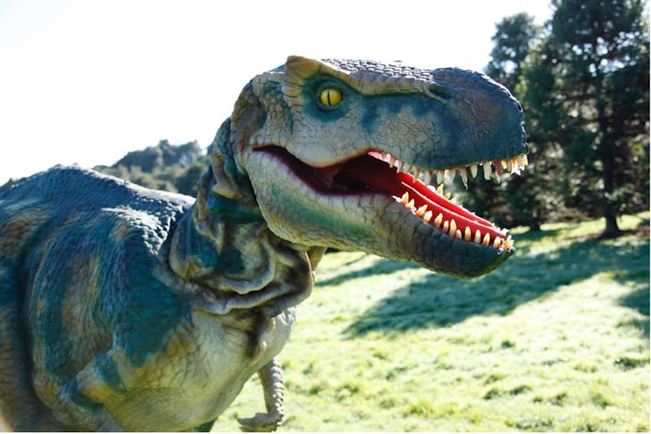 A T. Rex at DinoFest.