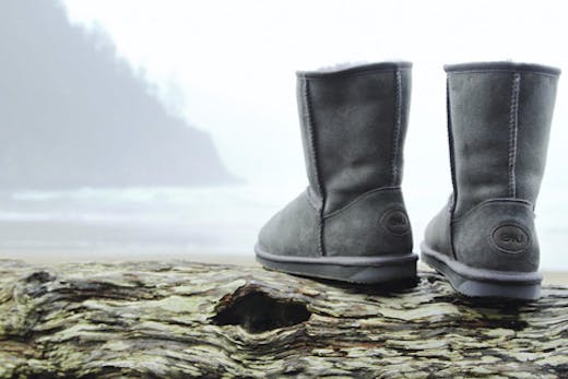 Emu Australia George Street