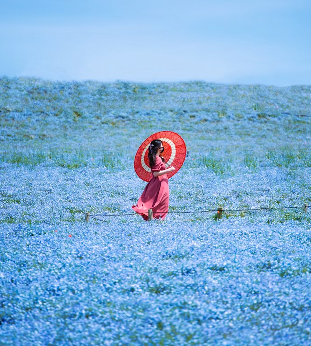 a person standing in a blue field of flowers
