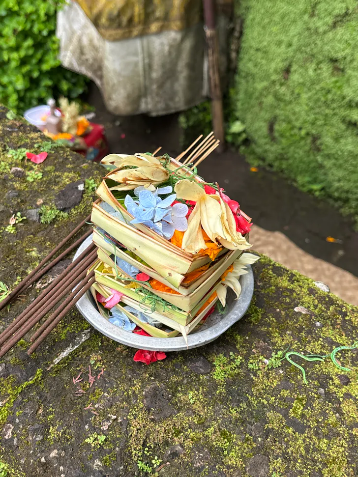 a special offering in a rainforest