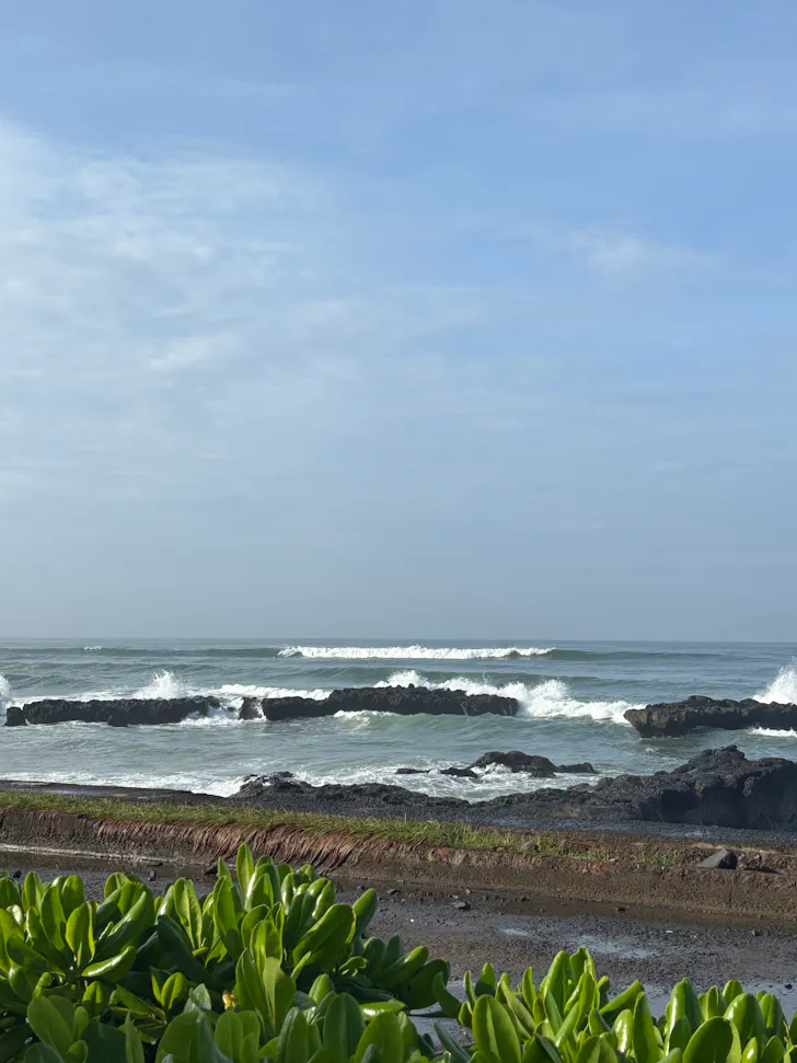surf in bali
