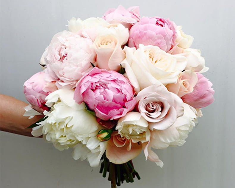 Lime Flowers, East Fremantle URBAN LIST PERTH