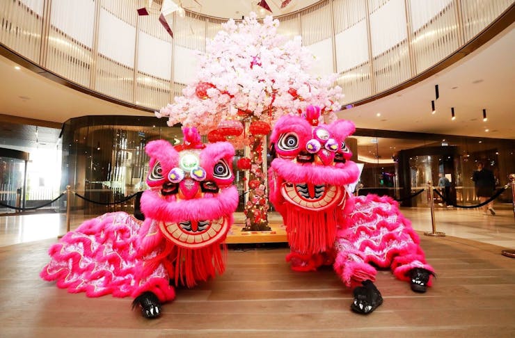 Two Lunar New Year lion dancers in Brisbane pose under a bright chandelier