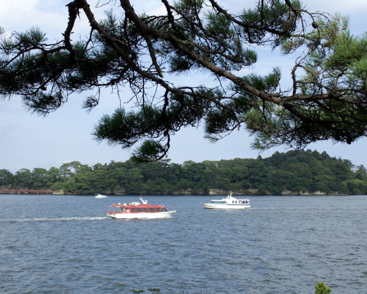 Two boasts cruise along water in front of a pine tree-clad island
