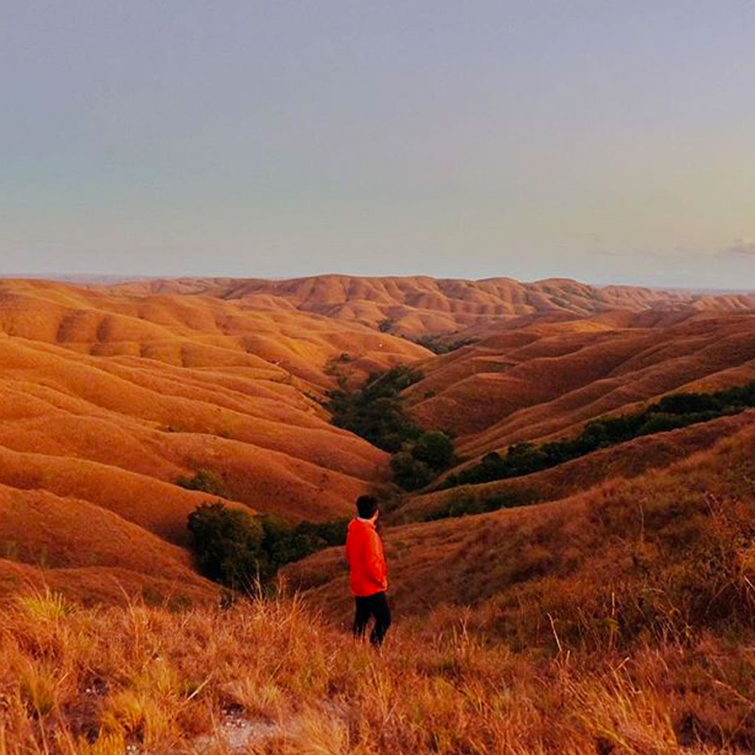 rolling hills at sunset